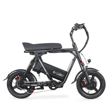 Compact and foldable EMOVE RoadRunner V3 electric scooter